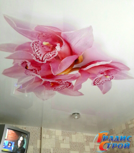 Фото натяжного потолка