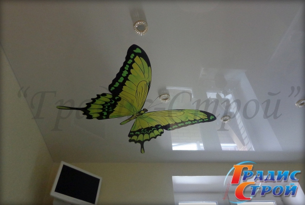 Фото натяжного потолка с Фотопечатью