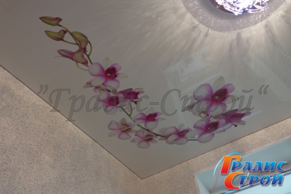 Фото натяжного потолка
