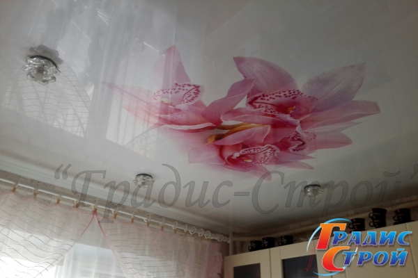 Фото натяжного потолка с Фотопечатью