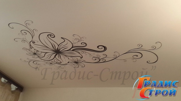 Фото натяжного потолка с Фотопечатью