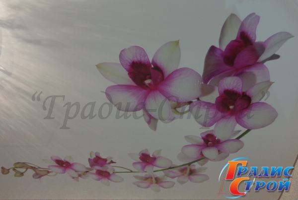 Фото натяжного потолка