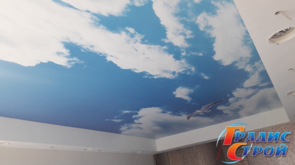 Фото натяжного потолка с Фотопечатью